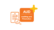 Audit