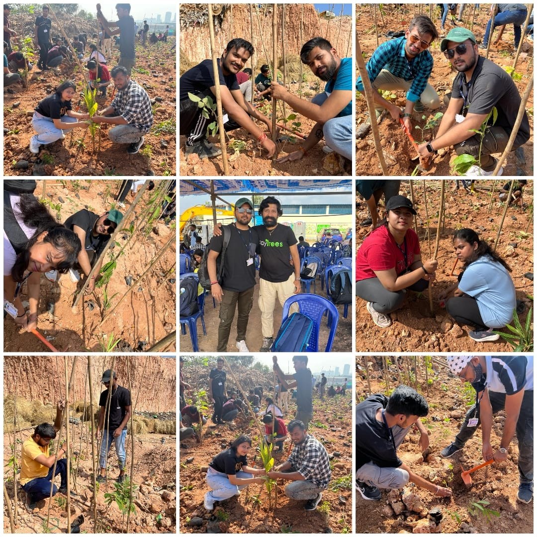 Plantation Drive