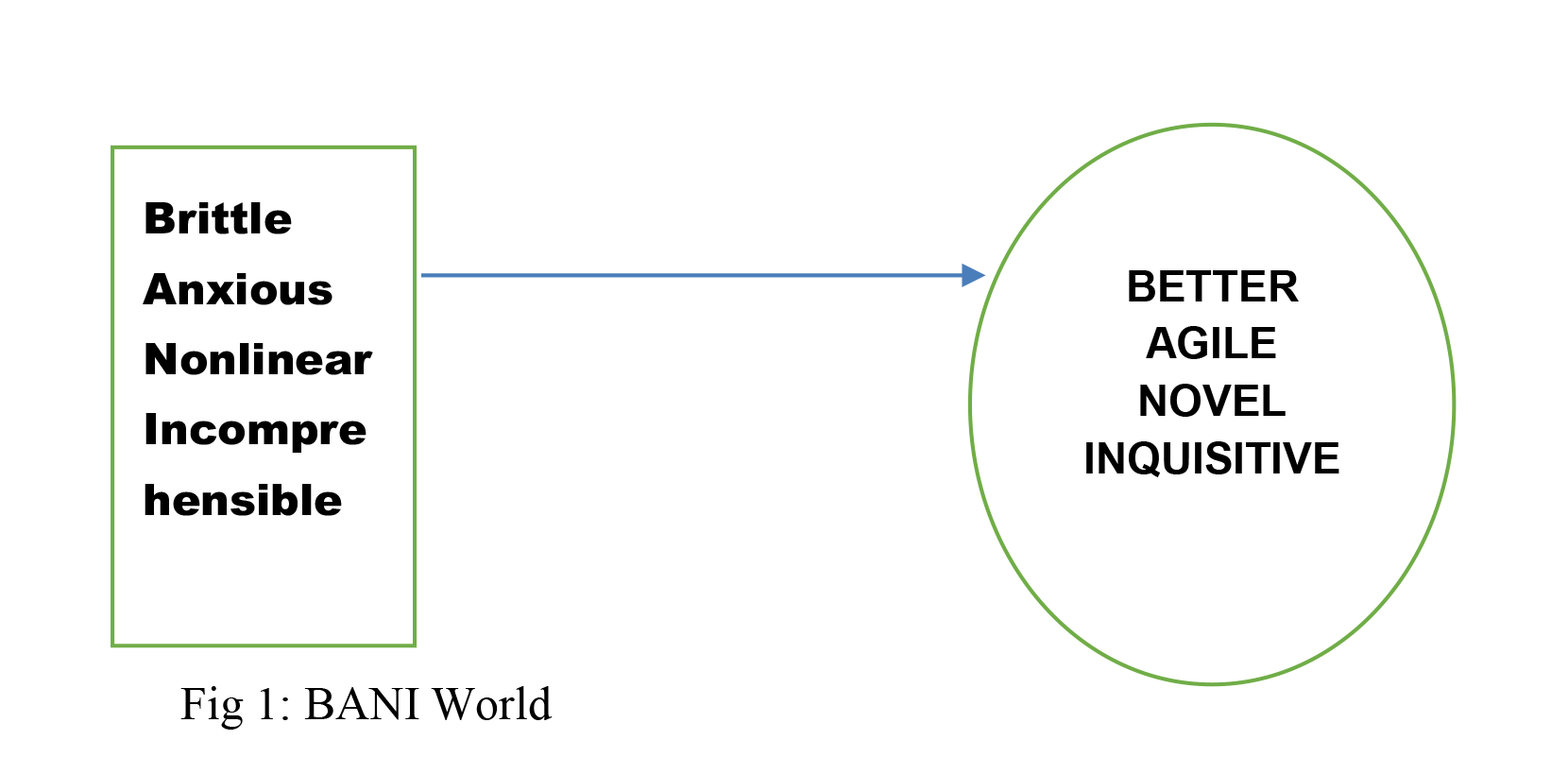 BANI World Framework Diagram